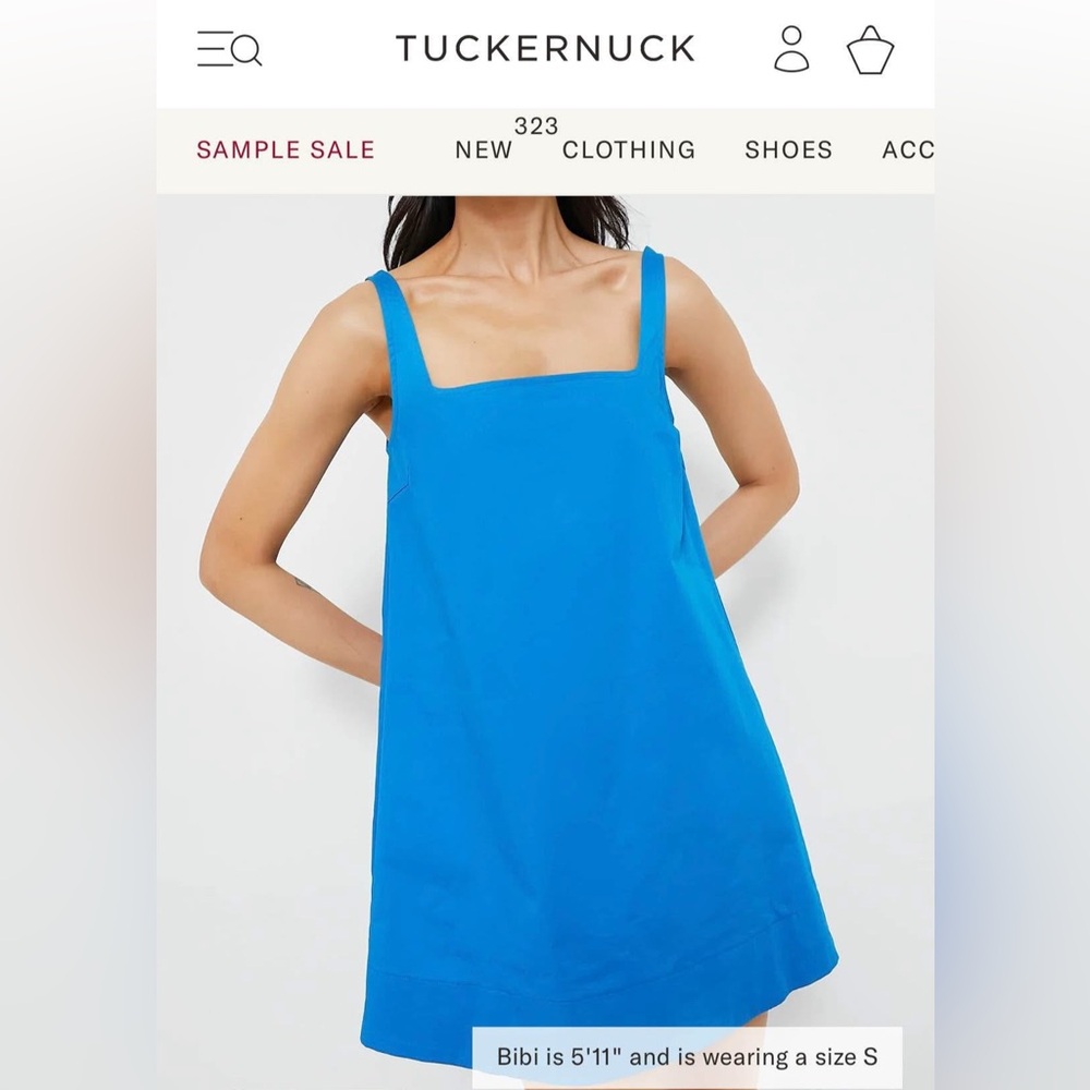 Tuckernuck Blue Sleeveless Dress